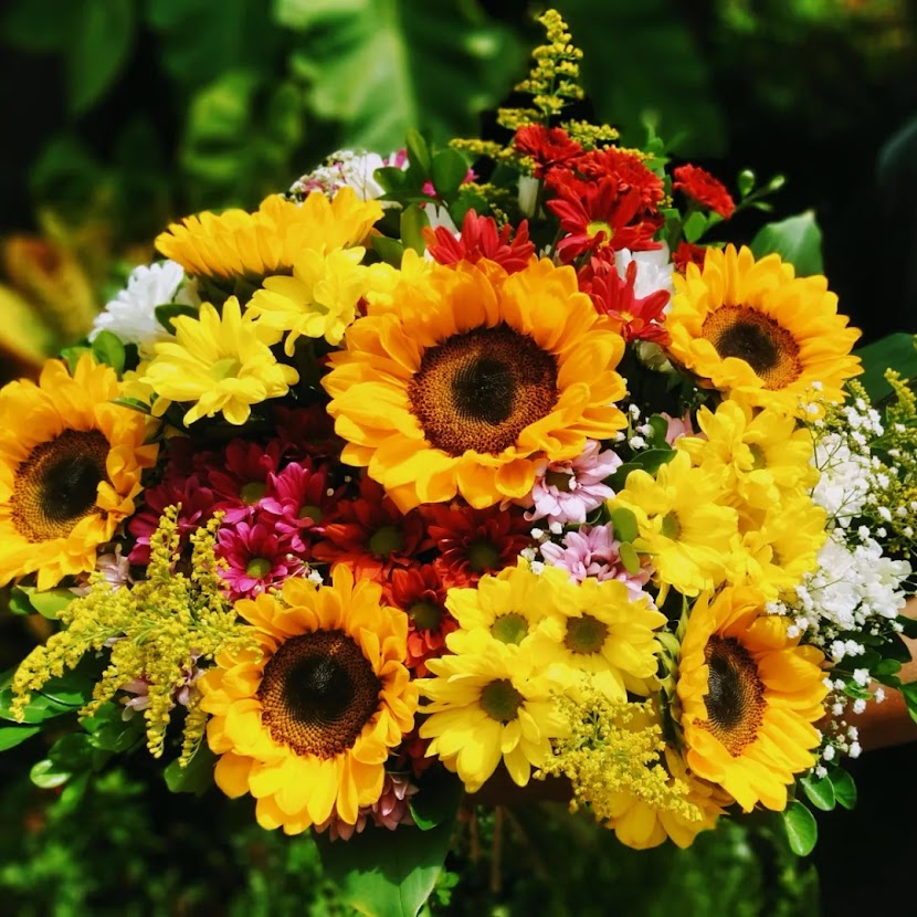 Buquê de girassol
