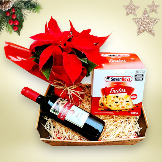 Cesta de presente de natal - Sodel Flores